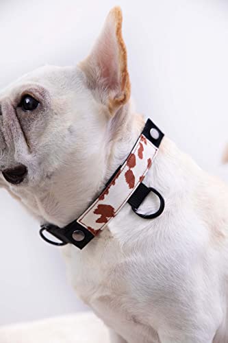 Teddy - Modular Dog Collar