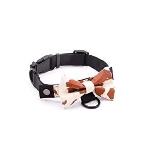 BOW Teddy - Modular Dog Collar