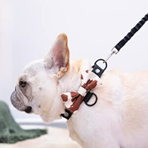 BOW Teddy - Modular Dog Collar