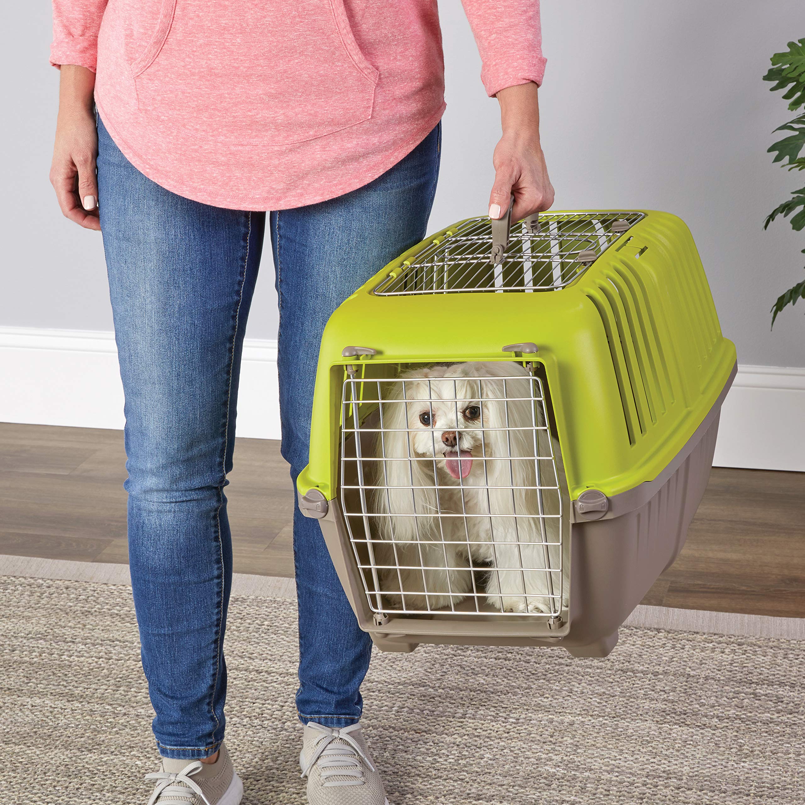 MidWest Homes for Pets Spree Travel Pet Carrier, Dog Carrier Features Easy Assembly and Not The Tedious Nut & Bolt Assembly of Competitors, Ideal for Small Dogs & Cats