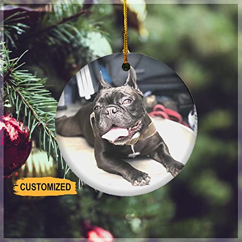 Custom Christmas Ornament, Personalized and Customizable Ornament Decorate The Christmas tree, Add Any Photo, Logo, Name, or Text, Pearlized Color Design Your Own Ornament - Circle Ornament