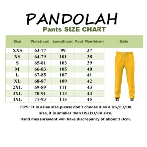 Pandolah Adult Sweatshirt Print Hoodie Casual Hoodie Anime Unisex Pullover(z-10, 2XL)