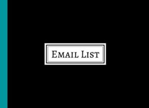 email list | guest book with space for collecting email addresses, name and comments: mailing list book | art show exhibition | corporate email list | business email address list