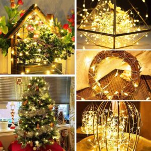 Fairy Lights Battery Operated Christmas String Lights 100 LED Waterproof Copper Wire Starry Twinkle Lights with 8 Modes Remote &Timer for Wedding Indoor Decor 2 Pack (Warm White)