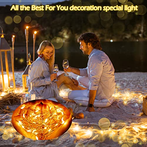 100 Pack Fairy Lights Battery Operated 3 Speed Modes, 7 Ft/ 2 M 20 LED Battery String Mini Lights Waterproof Wire Twinkle Lights Party Favors for Wedding Birthday Vases Flower Decor (Warm Light)