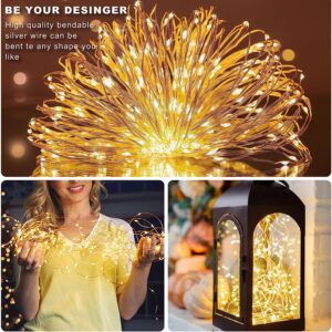 Fairy Lights Battery Operated 1 Pack 16.4Ft 50 LED Silver Copper Wire Twinkle Lights for Christmas Bedroom Indoor Outdoor Wedding Dorm Party Holiday Yard Decoration (Warm White)