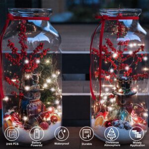 Fairy Lights Battery Operated 1 Pack 16.4Ft 50 LED Silver Copper Wire Twinkle Lights for Christmas Bedroom Indoor Outdoor Wedding Dorm Party Holiday Yard Decoration (Warm White)