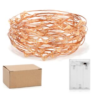 Ariceleo Led Fairy Lights Battery Operated, 1 Pack Mini Battery Powered Copper Wire Starry Fairy Lights for Bedroom, Christmas, Parties, Wedding, Centerpiece, Decoration (5m/16ft Cool White)