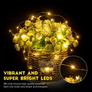 Fairy Lights Battery Operated String Lights - 12 Pack 7ft 20 LED Silver Wire Firefly Lights for Mason Jars DIY Picture Walls Shelves Arts Crafts Trees Branches Bedroom Wedding Party Decor(Warm White)