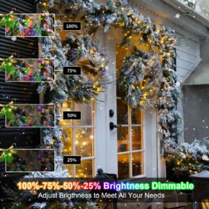 100 LED Christmas String Lights Battery Operated, Dual Color Changing Fairy Lights 33Ft Green Wire with Remote Timer Outdoor Indoor Twinkle Lights for Xmas Tree Party Decor Warm White & Multi-Color