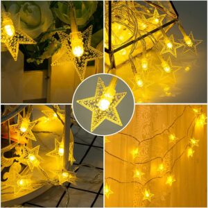 Led Fairy Lights Battery Operated, Mini Battery Powered Copper Wire Starry Fairy Lights for Bedroom, Christmas, Parties, Wedding, Centerpiece, Decoration Warm Light (1 pcs)