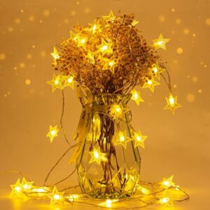 Led Fairy Lights Battery Operated, Mini Battery Powered Copper Wire Starry Fairy Lights for Bedroom, Christmas, Parties, Wedding, Centerpiece, Decoration Warm Light (1 pcs)