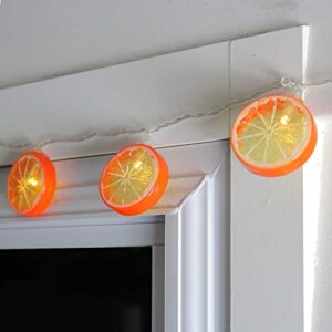 Northlight 10 Battery Operated Orange Slice Summer LED String Lights - 4.5 ft Clear Wire