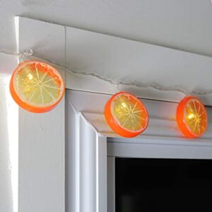 Northlight 10 Battery Operated Orange Slice Summer LED String Lights - 4.5 ft Clear Wire