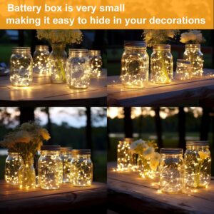 【Long Lasting】 12 Pack Fairy Lights Battery Operated Mini String Lights - 3.3ft 20 LED,Silver Wire Warm White for Wedding,Party Centerpieces,Table Decor,DIY Crafts,Festivals,Mason Jars Décor