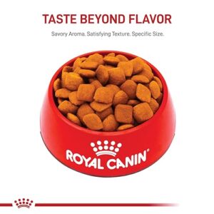 Royal Canin Golden Retriever Adult Dry Dog Food, 17 lb Bag