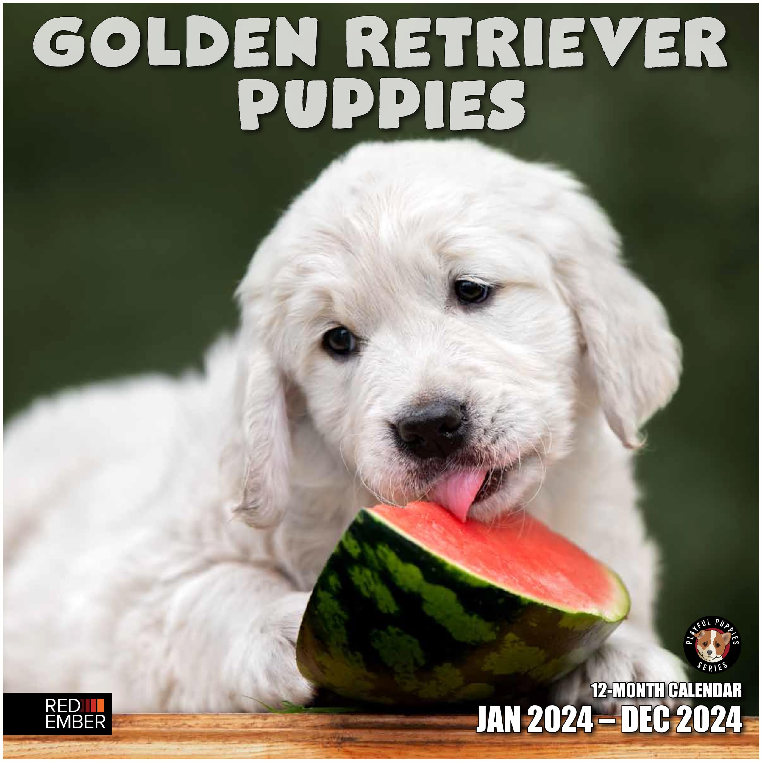 RED EMBER Golden Retriever Puppies 2024 Hangable Monthly Wall Calendar | 12" x 24" Open | Thick & Sturdy Paper | Giftable | Cute Dog | Every Day is Golden