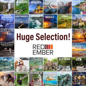 RED EMBER Golden Retriever Puppies 2024 Hangable Monthly Wall Calendar | 12" x 24" Open | Thick & Sturdy Paper | Giftable | Cute Dog | Every Day is Golden