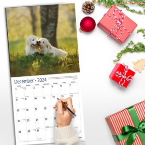 RED EMBER Golden Retriever Puppies 2024 Hangable Monthly Wall Calendar | 12" x 24" Open | Thick & Sturdy Paper | Giftable | Cute Dog | Every Day is Golden