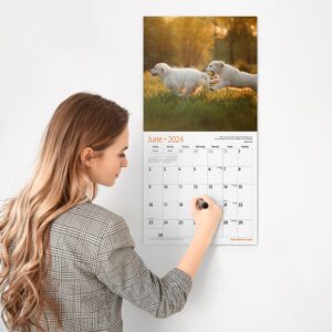 RED EMBER Golden Retriever Puppies 2024 Hangable Monthly Wall Calendar | 12" x 24" Open | Thick & Sturdy Paper | Giftable | Cute Dog | Every Day is Golden