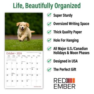 RED EMBER Golden Retriever Puppies 2024 Hangable Monthly Wall Calendar | 12" x 24" Open | Thick & Sturdy Paper | Giftable | Cute Dog | Every Day is Golden