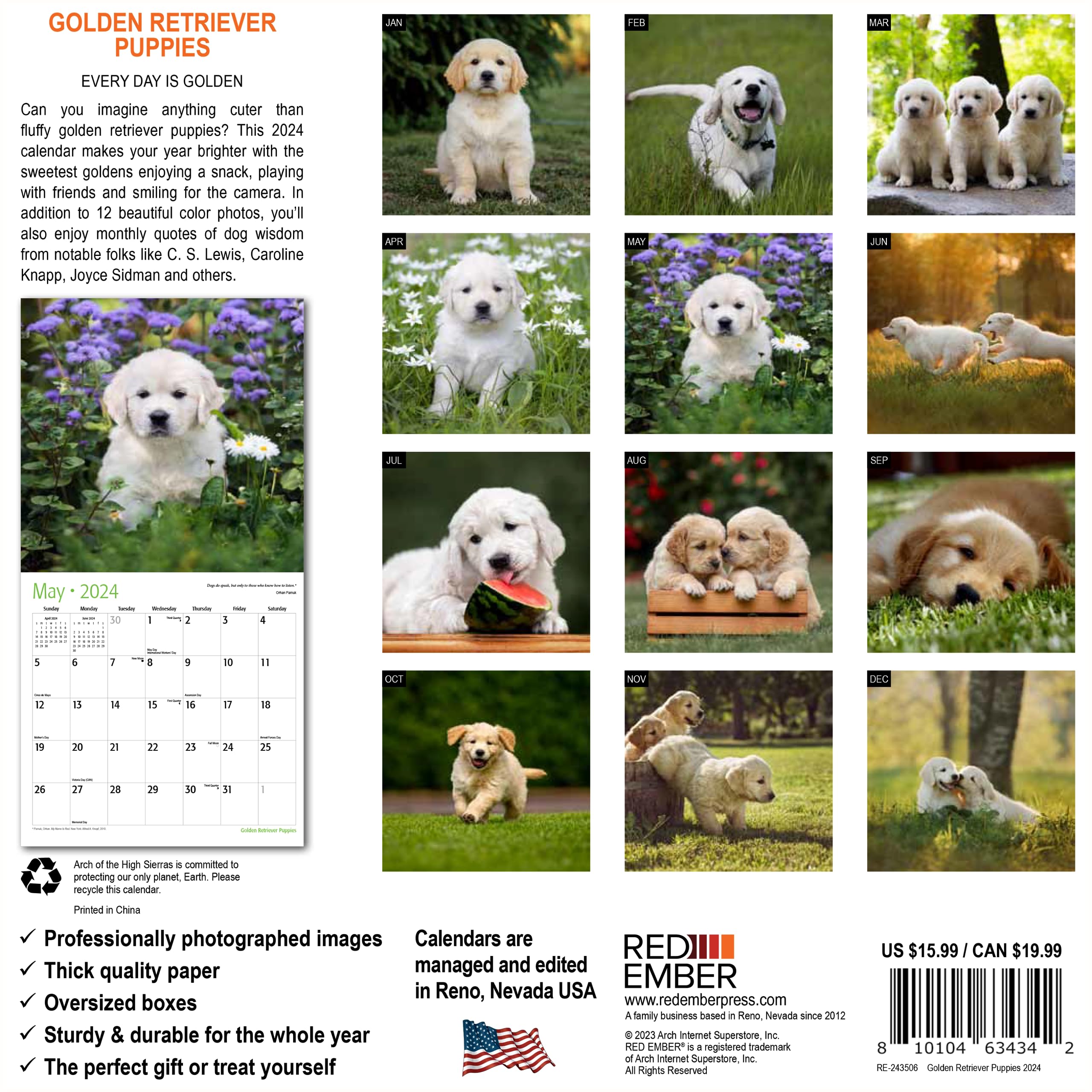 RED EMBER Golden Retriever Puppies 2024 Hangable Monthly Wall Calendar | 12" x 24" Open | Thick & Sturdy Paper | Giftable | Cute Dog | Every Day is Golden