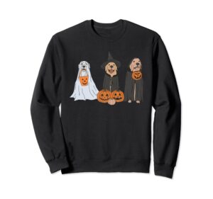 funny halloween labrador golden retriever ghost dog witch sweatshirt