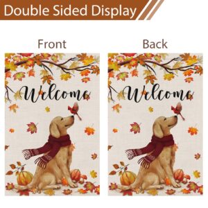 Welcome Fall Garden Flag 12 x 18 Inch Double Sided Burlap, Golden Retriever Dog Cardinal Yard Flags for Seasonal Thanksgiving Farmhouse Decoration(ONLY FLAG)