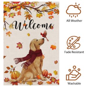 Welcome Fall Garden Flag 12 x 18 Inch Double Sided Burlap, Golden Retriever Dog Cardinal Yard Flags for Seasonal Thanksgiving Farmhouse Decoration(ONLY FLAG)