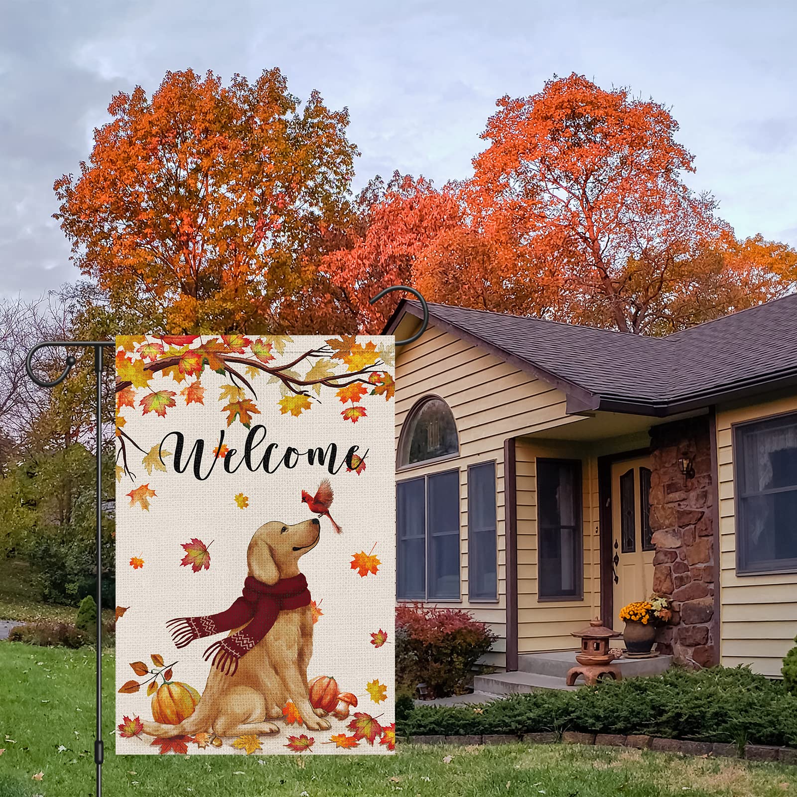 Welcome Fall Garden Flag 12 x 18 Inch Double Sided Burlap, Golden Retriever Dog Cardinal Yard Flags for Seasonal Thanksgiving Farmhouse Decoration(ONLY FLAG)