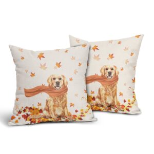 granbey golden retriever dog fall throw pillow cover autumn maple leaves farmhouse pillowcase cute pet modern thanksgiving decorative pillow protector for home sofa couch party living room