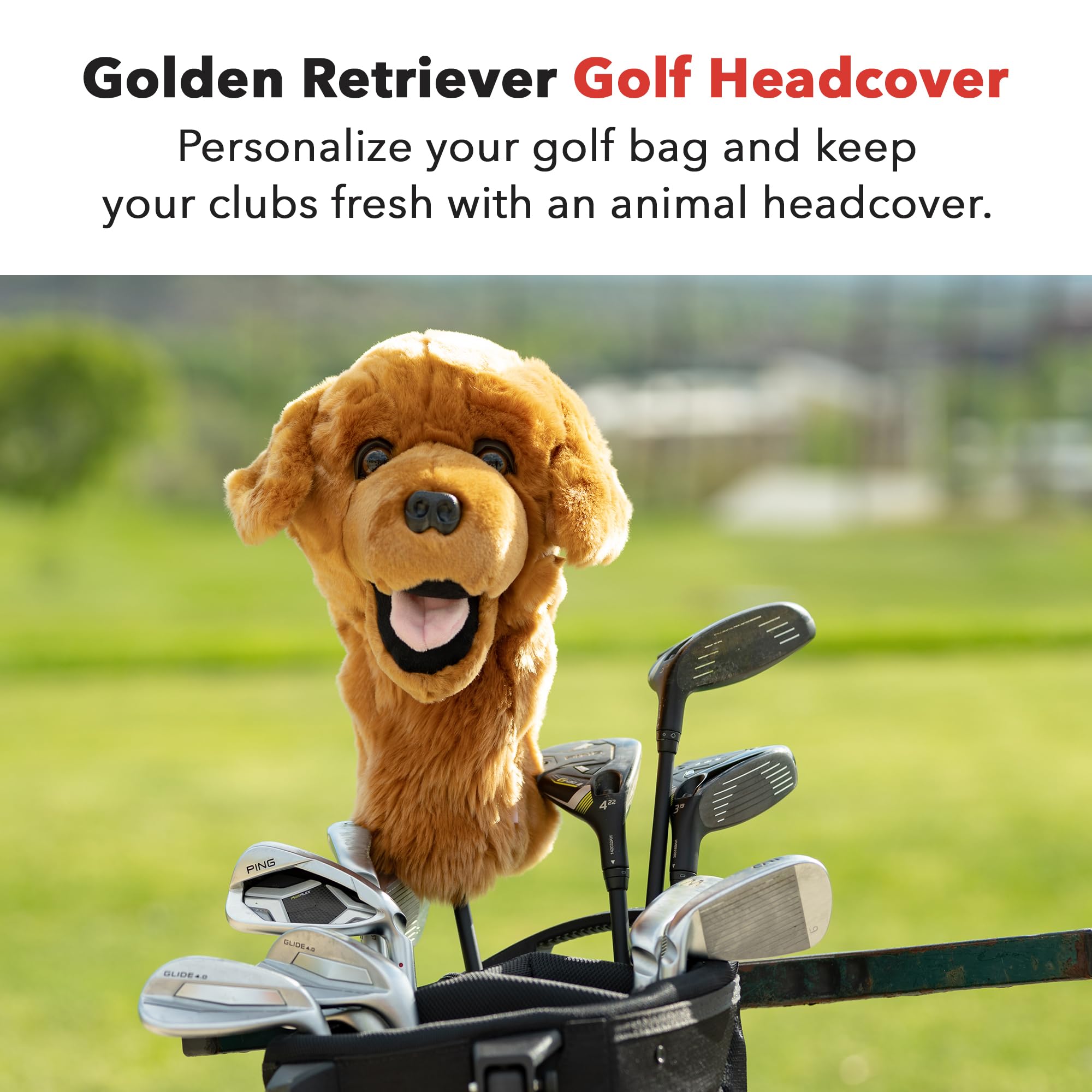 Daphne’s Golden Retriever Driver Headcover | Premium Driver Headcovers | Funny Golf Club Covers | Stylish Protection for Your Clubs | Men's Golf Gear | Driver Headcover for Men and Women