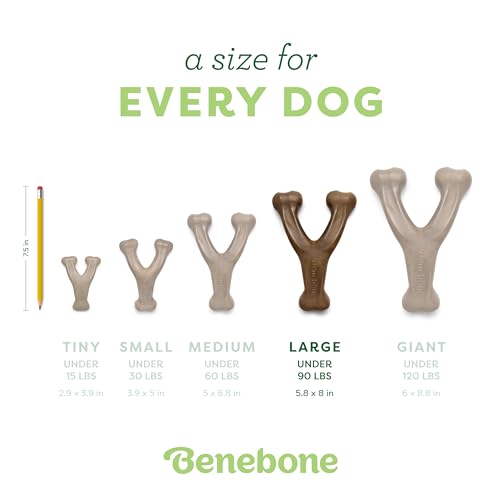 Benebone Wishbone Durable Dog Chew Toy for Aggressive Chewers, Real Bacon, Made in USA, Large