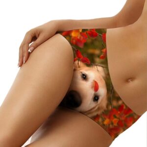 Cumagical Golden Retriever Women's Sexy Underwear Animal Retro Pattern Fashion Bikini Briefs