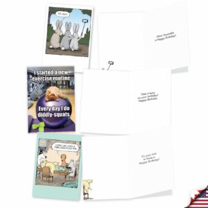 NobleWorks - 20 Funny Box Set Birthday Greeting Cards Assortment with Envelopes (4.63 x 6.75 Inch) Adult Humor Variety Pack for Men and Women - Birthday Bonanza AC8837BDG-B2x10