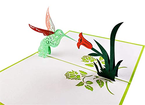 iGifts And Cards Season’s Greetings Hummingbird 3D Pop Up Greeting Card – Merry Christmas, Happy Holidays, Feliz Navidad, Joy, Hope, Unique, Special