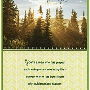 Designer Greetings Sunbeam Shining Through Tall Evergreens You're Like a Father Birthday Card