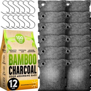 Charcoal Odor Absorber for Strong Odor (Large, 12 Pack, 100g each), Perfect for Smelly Shoes, Bamboo Charcoal Air Purifying Bag, Activated Charcoal Odor Absorber for Closet, Shoe, Car, Odor Deodorizer