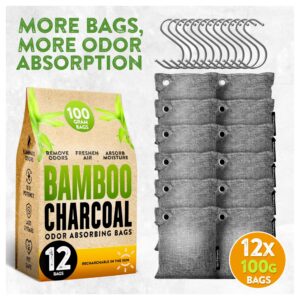 Charcoal Odor Absorber for Strong Odor (Large, 12 Pack, 100g each), Perfect for Smelly Shoes, Bamboo Charcoal Air Purifying Bag, Activated Charcoal Odor Absorber for Closet, Shoe, Car, Odor Deodorizer