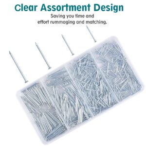 Nail for Hanging Pictures Assortment Kit - 650Pcs Small Nails, Finishing Nails, Hanging Nails, Picture Nails, Wall Nails for Hanging, Pin Nails