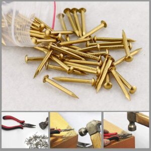 newlng 500pcs Small Nail Round Head Tiny Nails String Art Nails Hand-Made Hardware Accessories Fasteners Mini Nails 1 X 10mm/0.04"X0.4"(DXL) Gold