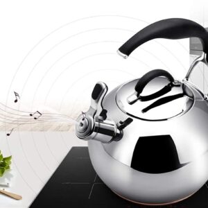 ArrAze Tea Kettle Stovetop Whistling Suitable for Stove Tops 3L Modern Brushed Steel Polished Kettle with Ergonomic Handle Can Make Boil Milk or Coffee