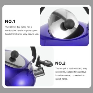 BESTonZON Whistling Tea Kettle Tea Bottle Stainless Steel Stovetop Teapot 4L Camping Water Kettle Kitchen Coffee Kettle Metal Water Pot with Cool Handle for Home Office Blue