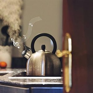 Stainless Steel Kettle Spout Teakettle Nozzle Whistling Kettle Flute Pipe Water Replace Spout Kitchen Accessory Kettle Spout Replacement