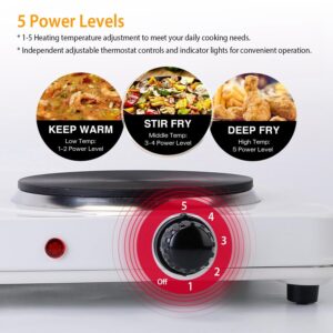 TeqHome Hot Plate, 2000W Portable Electric Stove for Cooking with 5 Levels Adjustable Temperature & Dual Control, Countertop Double Coil Burner Cast Iron Cooktop for All Cookwares RV Home Camp (White)