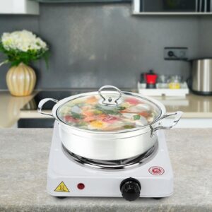 1000W Electric Stove Burners General Mini Portable Heater Heating Plate Household Cooking Appliances Countertop Burners(US Plug)