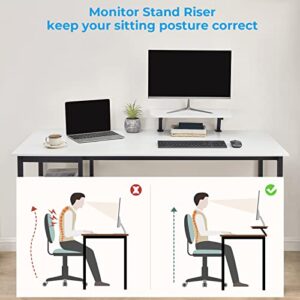 GreenForest Computer Home Office Desk with Monitor Stand and Reversible Storage Shelves,55 inch Modern Simple Writing Study PC Work Table,White