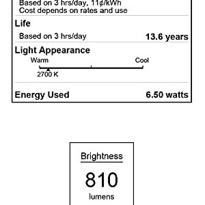 Westinghouse Lighting 5317500 6.5 Watt (60 Watt Equivalent) G40 Dimmable Clear Filament LED Light Bulb, Medium Base (6-Pack) (5317520)