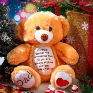 Sympathy Bears for Boys and Girls Loss of Dad, Memorial Stuffed Animal for Loss of Dad Boys and Girls Sympathy Gift for Grieving Bear Plush Toy for Condolences Memorial Loss of Loved