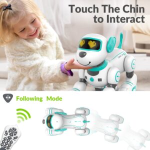 STEMTRON Programmable Remote Control Robot Cat Robot Dog for Kids, Interactive Robotic Dog Robotic Cat, Robo Dog Robo Cat, RC Robot with Touch Sensing, LED Eyes, Dance & Music